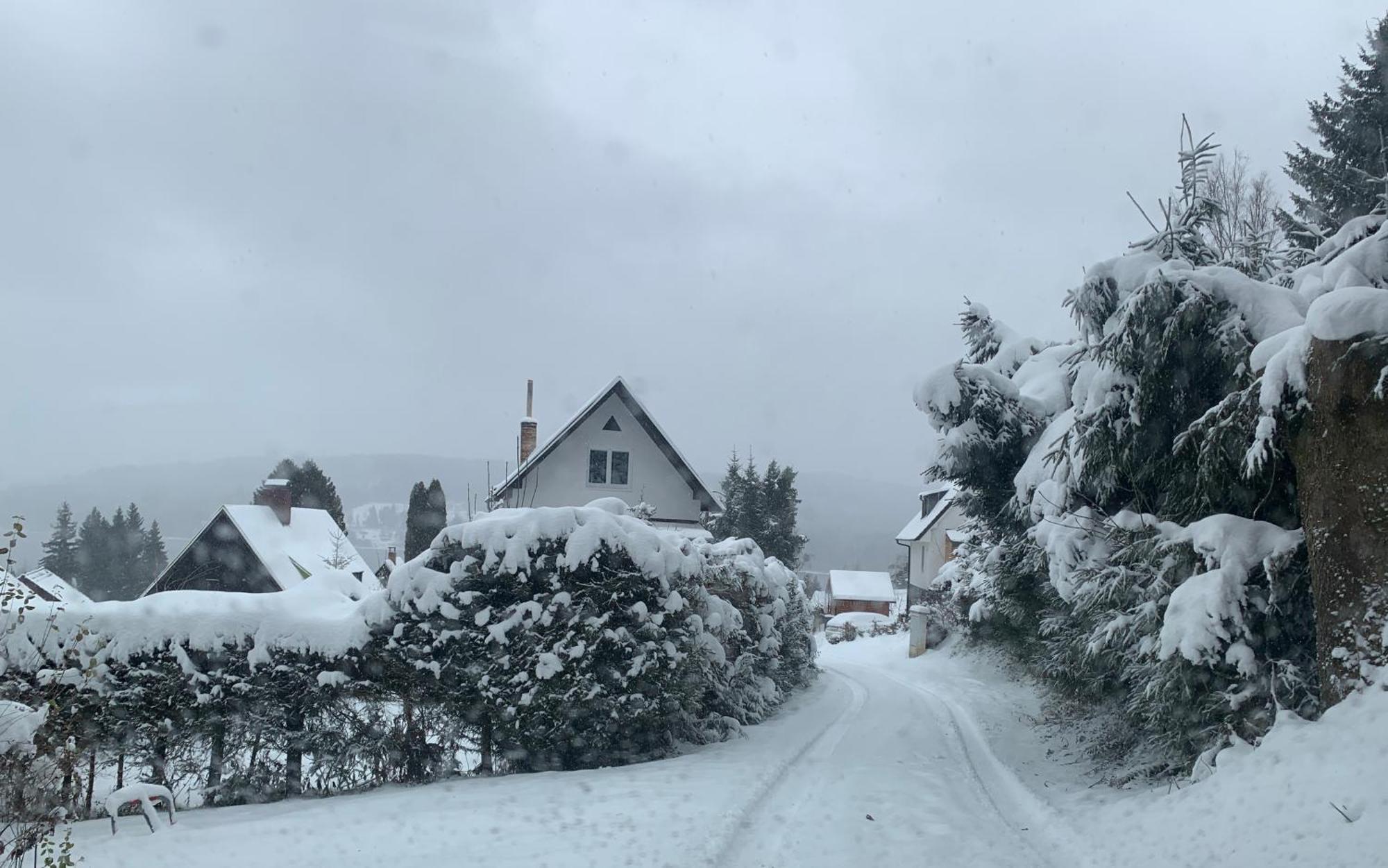 Nase Chata Lipno Lipno nad Vltavou Kültér fotó