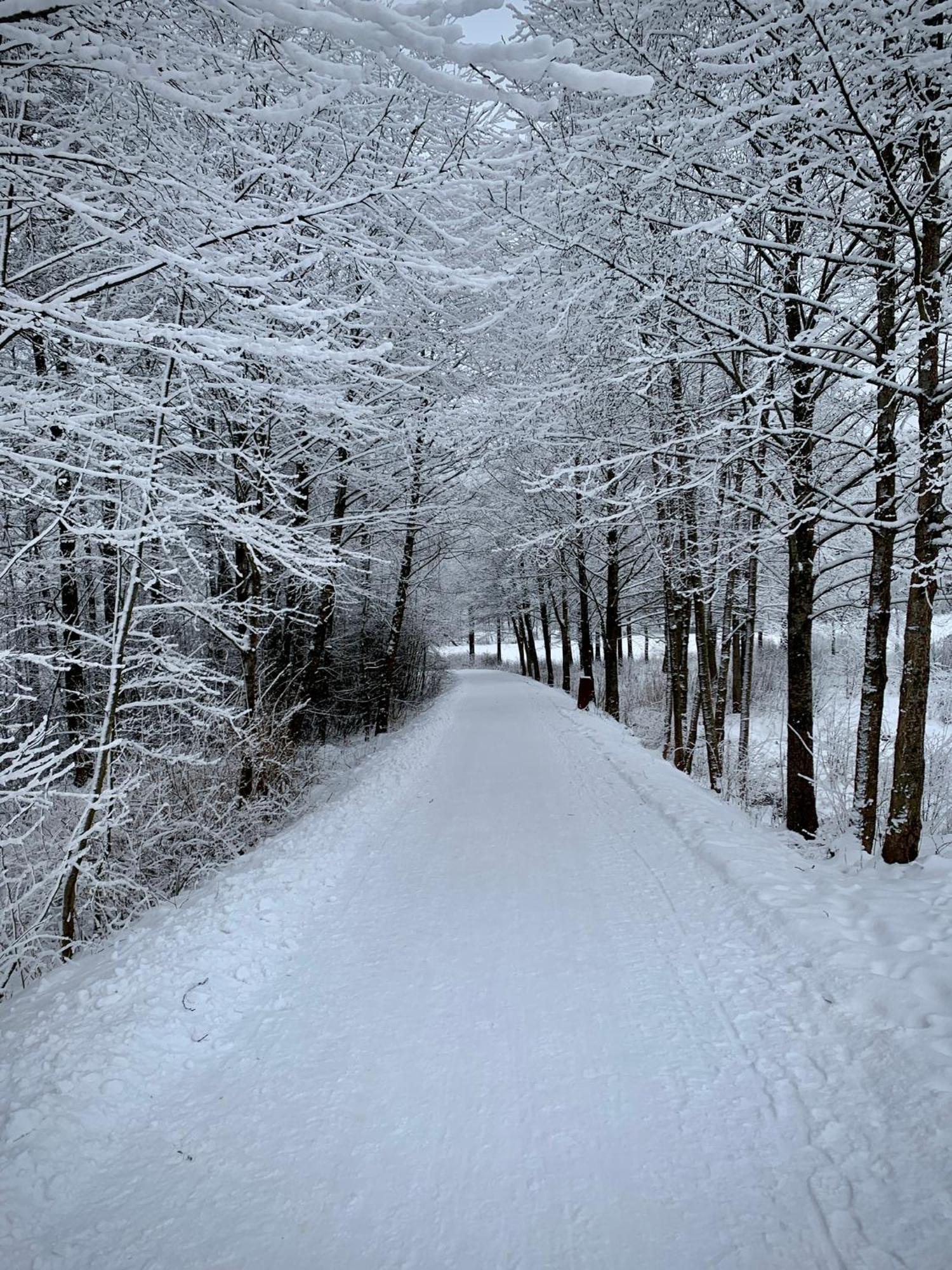 Nase Chata Lipno Lipno nad Vltavou Kültér fotó